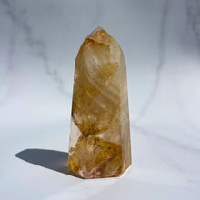 Load image into Gallery viewer, Golden Healer 03