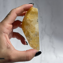 Load image into Gallery viewer, Golden Healer 02