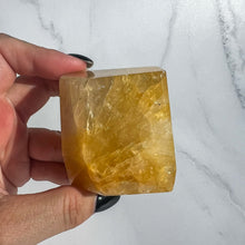 Load image into Gallery viewer, Golden Healer 14