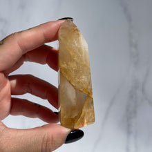 Load image into Gallery viewer, Golden Healer 03