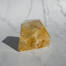 Load image into Gallery viewer, Golden Healer 16