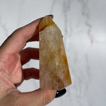 Load image into Gallery viewer, Golden Healer 13