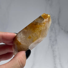 Load image into Gallery viewer, Golden Healer 01