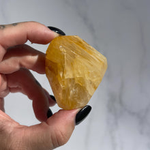 Load image into Gallery viewer, Golden Healer 07