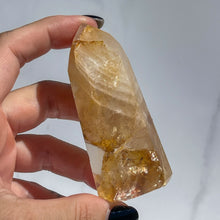 Load image into Gallery viewer, Golden Healer 03