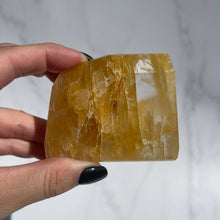 Load image into Gallery viewer, Golden Healer 06