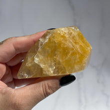 Load image into Gallery viewer, Golden Healer 02