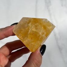 Load image into Gallery viewer, Golden Healer 16