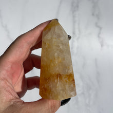 Load image into Gallery viewer, Golden Healer 13