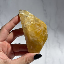 Load image into Gallery viewer, Golden Healer 02