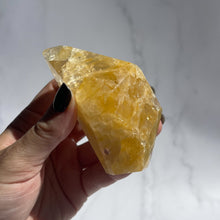 Load image into Gallery viewer, Golden Healer 02