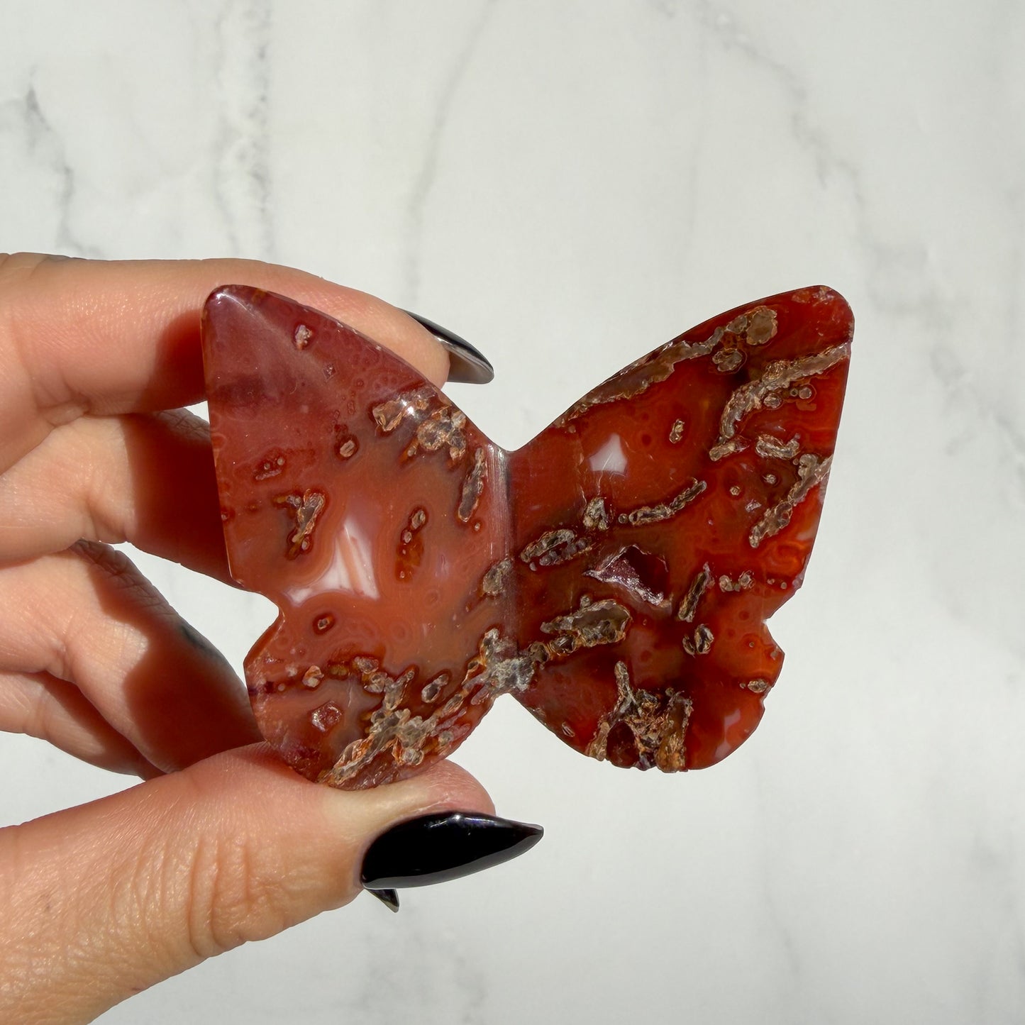 Indonesian Carnelian 3D Butterfly 02