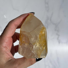 Load image into Gallery viewer, Golden Healer 09