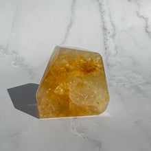 Load image into Gallery viewer, Golden Healer 16