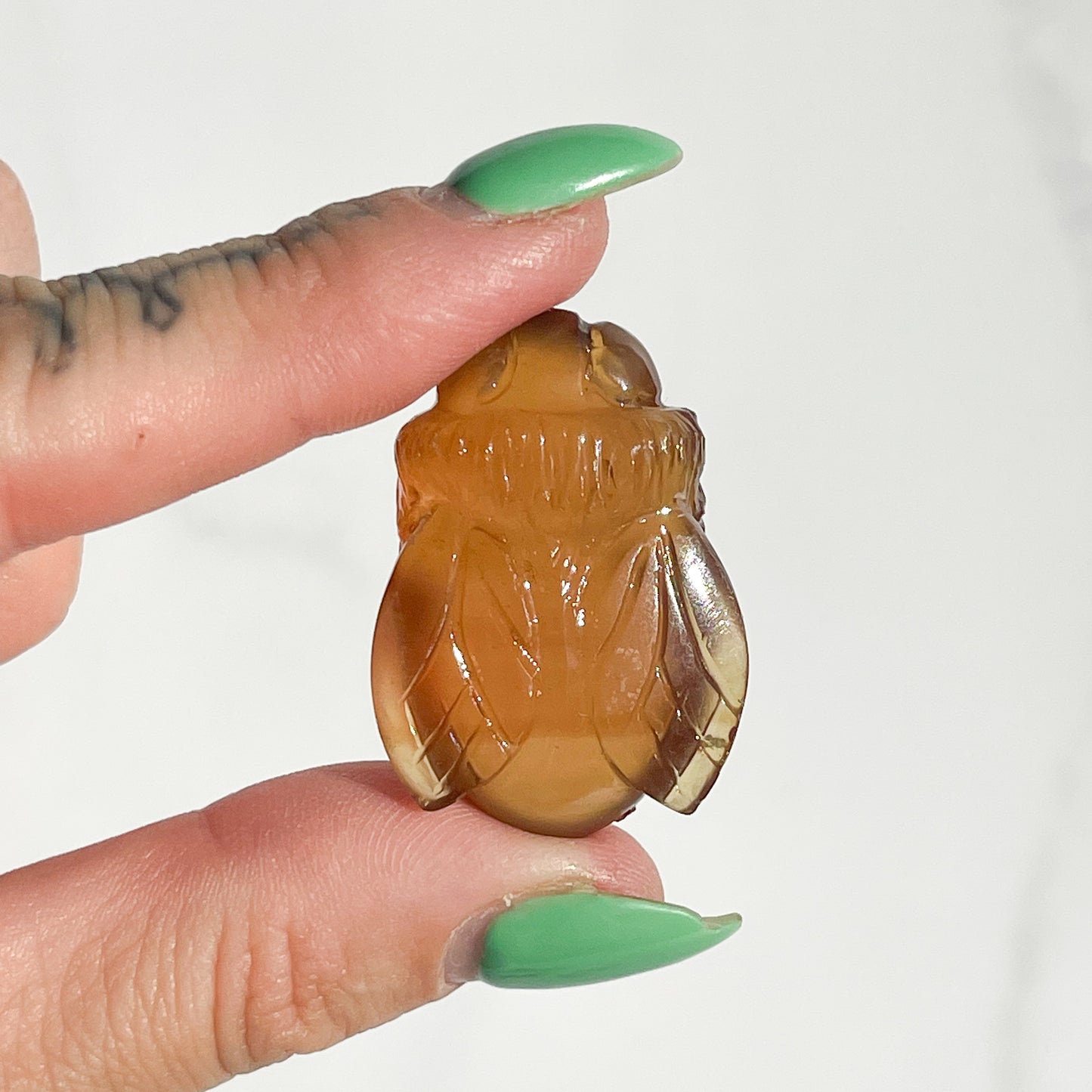 Amber Bee 01