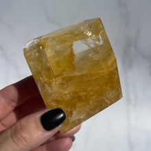 Load image into Gallery viewer, Golden Healer 06