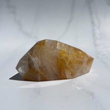 Load image into Gallery viewer, Golden Healer 01