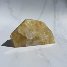 Load image into Gallery viewer, Golden Healer 02