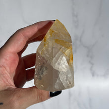 Load image into Gallery viewer, Golden Healer 09