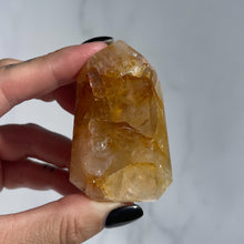 Load image into Gallery viewer, Golden Healer 10