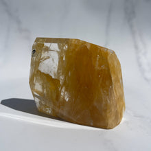 Load image into Gallery viewer, Golden Healer 06