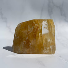 Load image into Gallery viewer, Golden Healer 06