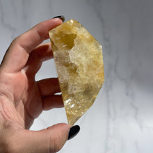 Load image into Gallery viewer, Golden Healer 02