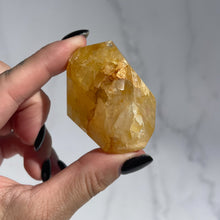 Load image into Gallery viewer, Golden Healer 07