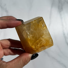 Load image into Gallery viewer, Golden Healer 14