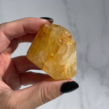 Load image into Gallery viewer, Golden Healer 07