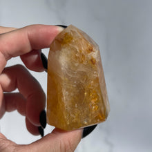 Load image into Gallery viewer, Golden Healer 10