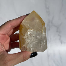 Load image into Gallery viewer, Golden Healer 09