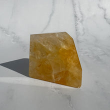 Load image into Gallery viewer, Golden Healer 16