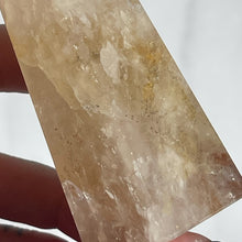 Load image into Gallery viewer, Golden Healer 13