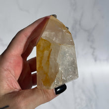 Load image into Gallery viewer, Golden Healer 09