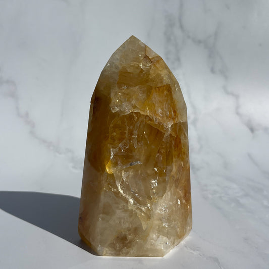 Golden Healer 12