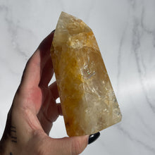 Load image into Gallery viewer, Golden Healer 12