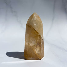 Load image into Gallery viewer, Golden Healer 03