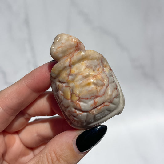 Red Vein Jasper Tortoise