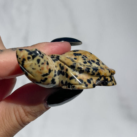 Dalmatian Jasper Turtle