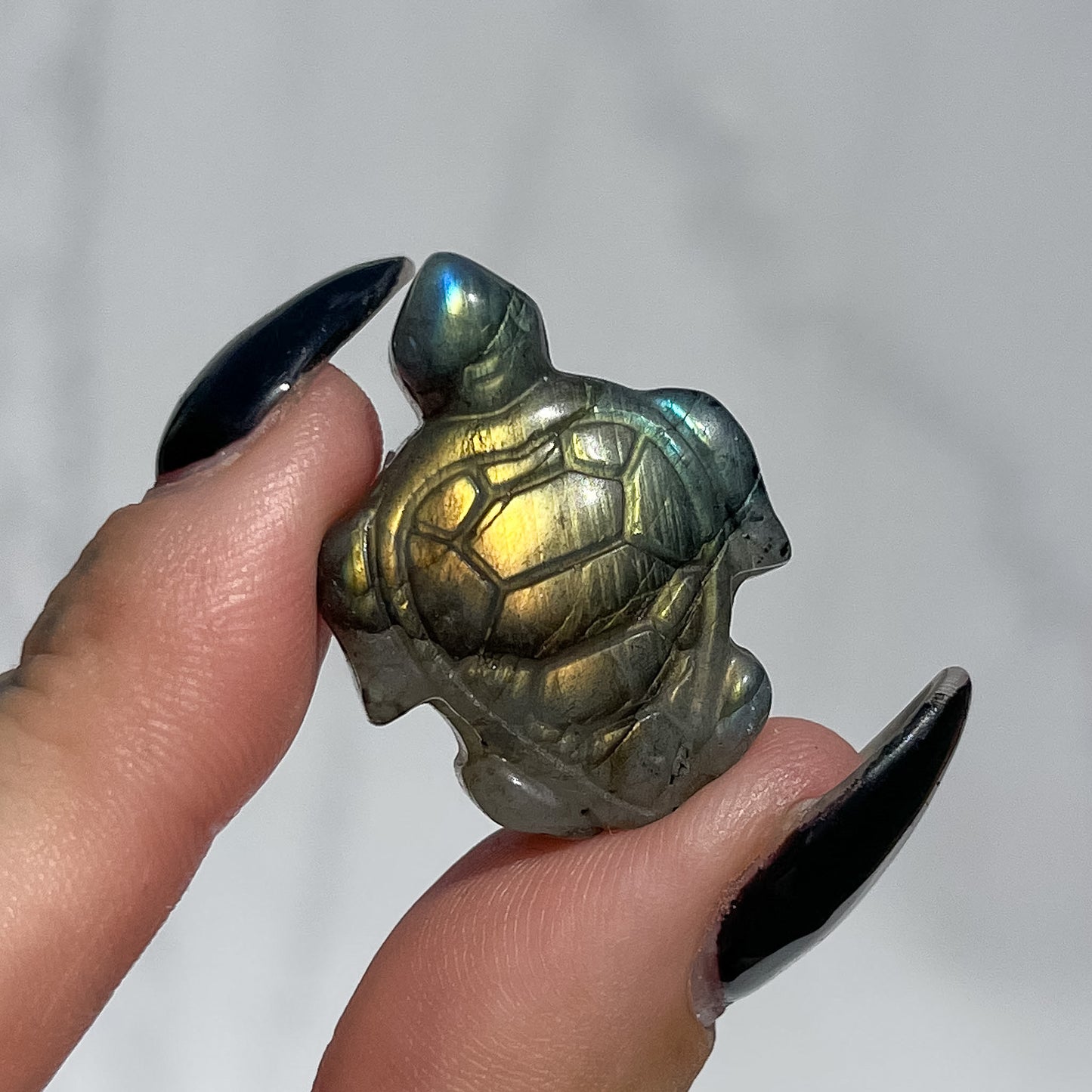 Labradorite Turtle 01
