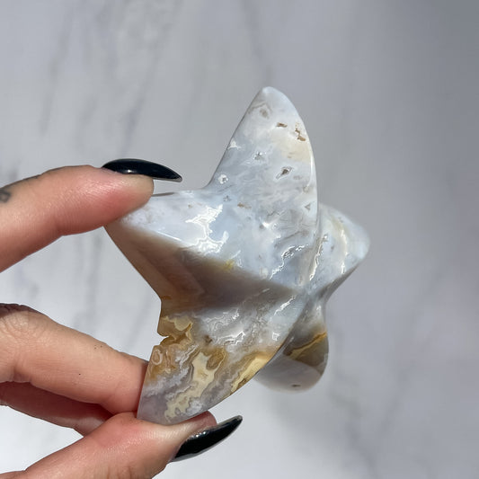 Agate Starfish 03