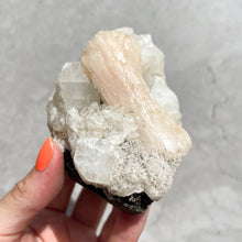 Load image into Gallery viewer, Apophyllite Cluster 18