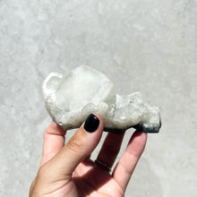 Load image into Gallery viewer, Apophyllite Cluster N05