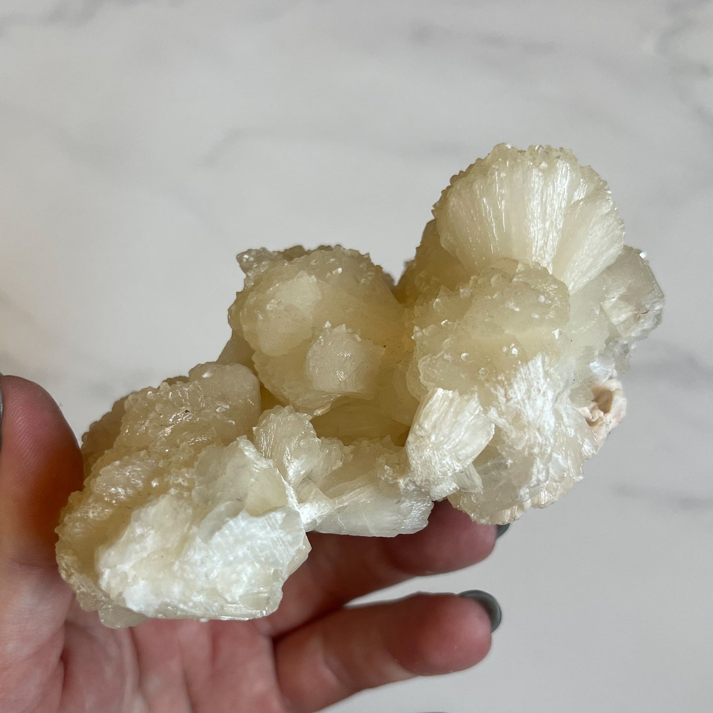 Zeolite Cluster