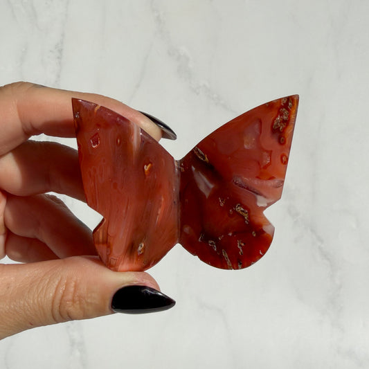Indonesian Carnelian 3D Butterfly 01
