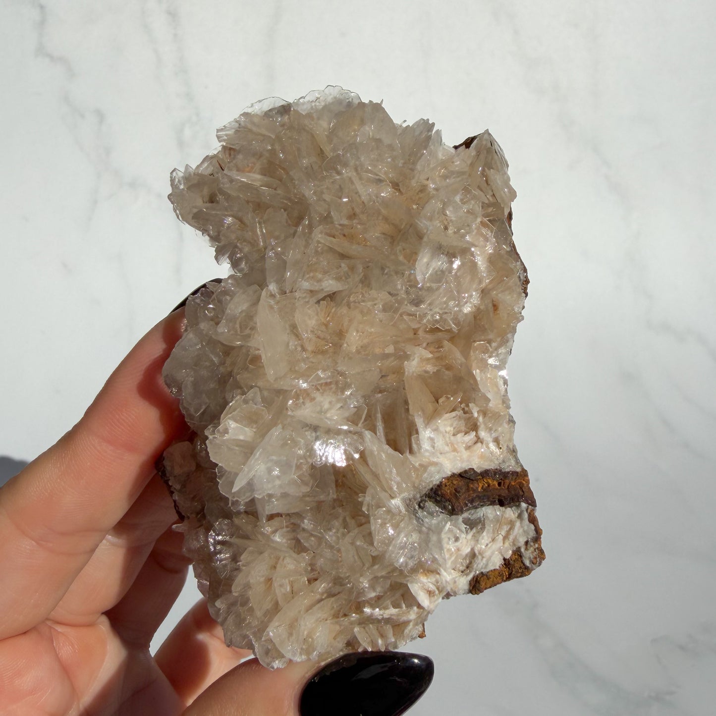 Angel Wing Calcite Cluster 03