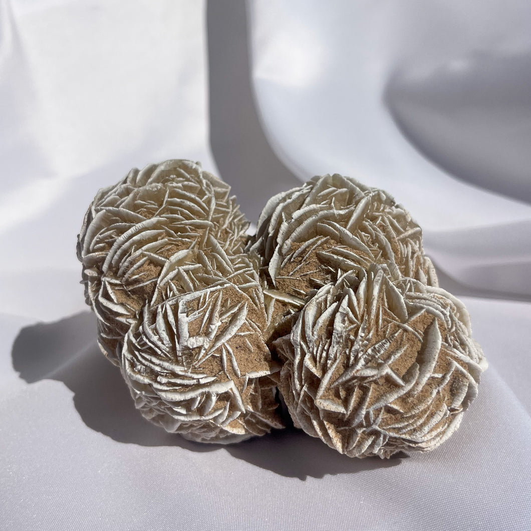 Desert Rose Cluster 02