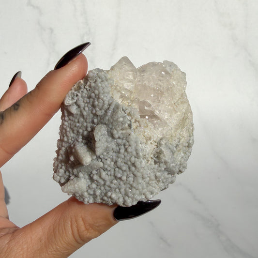Botryoidal Chalcedony covered Danburite Cluster 04