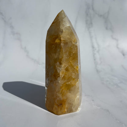 Golden Healer 12